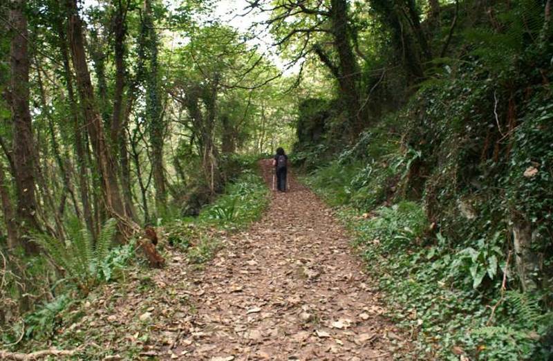 Cefn Bryn